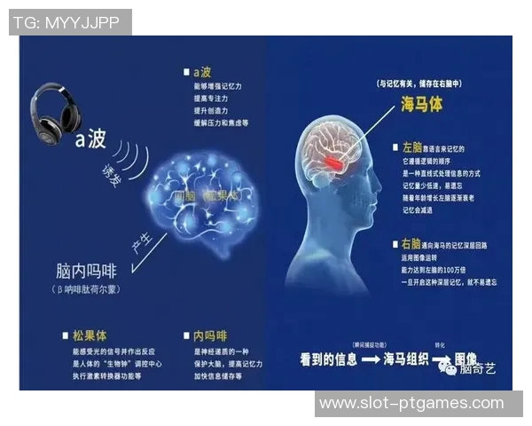电竞新闻电竞数据专家赵军揭秘英雄联盟成功背后的秘密与策略