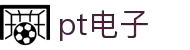 pt电子(中国)官方网站-ptgames